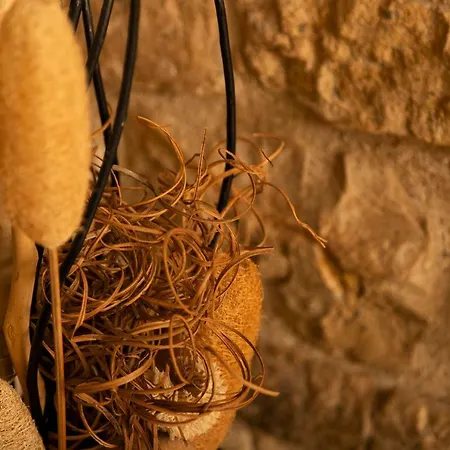 بيت للعطل Salamiou Stone House بافوس